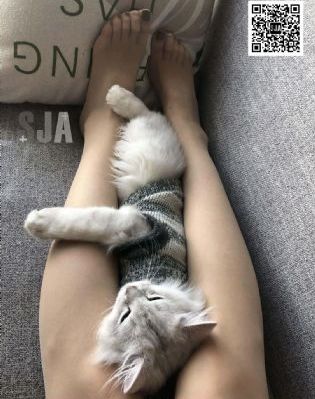 一对一姜汉娜_1080P免费高清观看