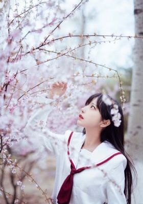 樱姬在线观看_BD英语在线观看完整版